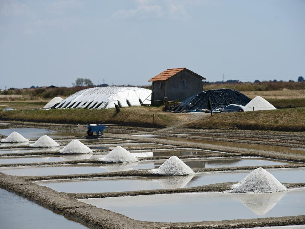 Huttopia Noirmoutier Екстериор снимка